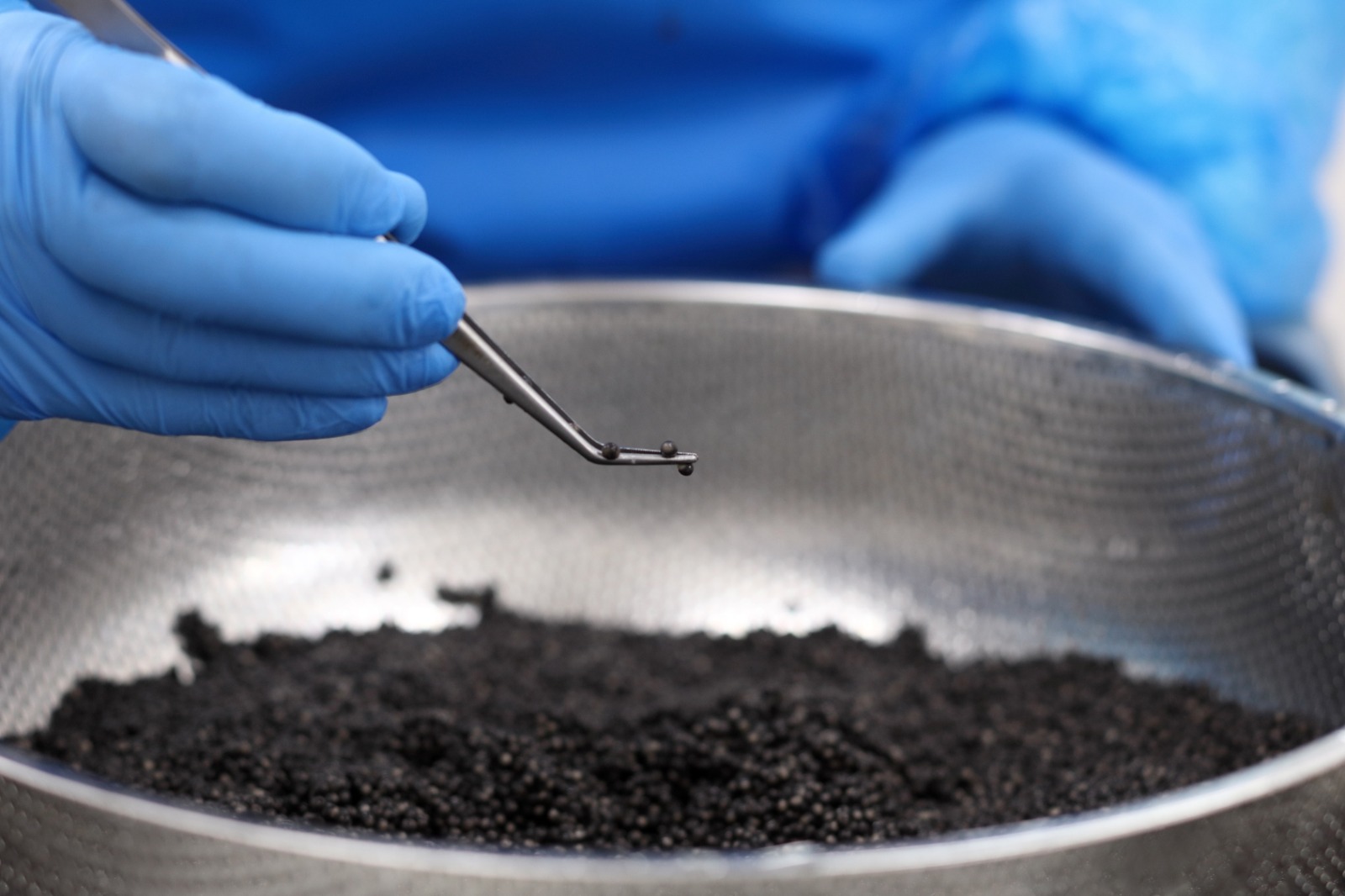 Caviar being inspected