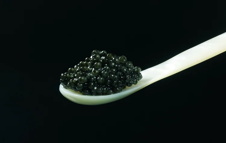 Caviar Spoon